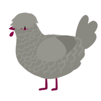 A ash chicken with a lace pattern
