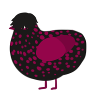 A sable and maroon chicken with a speckle pattern