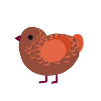 (unnamed), a russet and vermilion chicken with a half-lace pattern