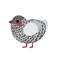 A grey and mist chicken with a lace pattern