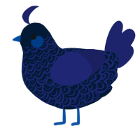 A tumblr and navy chicken with a double-lace pattern