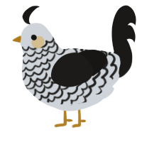 A mist and sable chicken with a lace pattern
