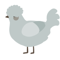 A silver chicken