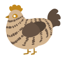 A beige and bark chicken with a bar pattern
