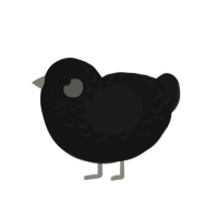 Peepers, a black and sable chicken with a half-lace pattern