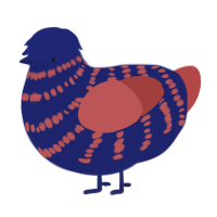 A navy and red chicken with a bar pattern