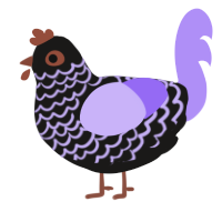 A sable and lilac chicken with a lace pattern