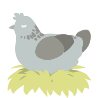 A silver and ash chicken with a neck-speckle pattern