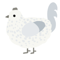 A white and mist chicken with a speckle pattern