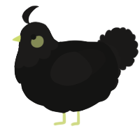 A black and sable chicken with a head pattern