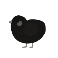 A black and sable chicken with a lace pattern