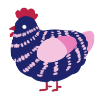 A navy and pink chicken with a bar pattern