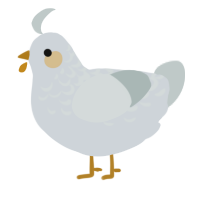 A mist and silver chicken with a half-lace pattern