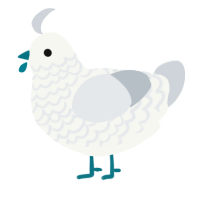 A white and mist chicken with a lace pattern