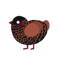 A black and russet chicken with a lace pattern