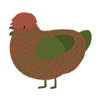 chilcluck, a russet and olive chicken with a lace pattern