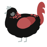 A black and red chicken with a neck-speckle pattern