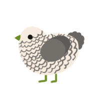A cream and grey chicken with a lace pattern