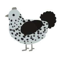 Little dalmatian, a silver and sable chicken with a speckle pattern