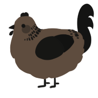 A bark and black chicken with a neck-band pattern