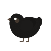 (unnamed), a sable chicken with a lace pattern