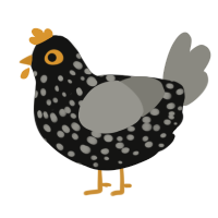 A black and ash chicken with a speckle pattern