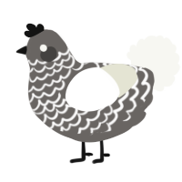 A grey and white chicken with a lace pattern