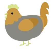 A ash and gold chicken with a head pattern