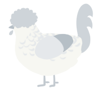 A white and mist chicken with a half-lace pattern