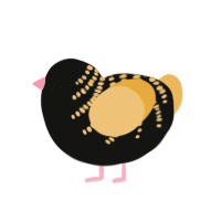 A black and honey chicken with a half-bar pattern