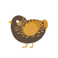 A bark and orange chicken with a half-lace pattern