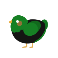 A black and leaf chicken with a head pattern