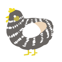 A grey and cream chicken with a bar pattern
