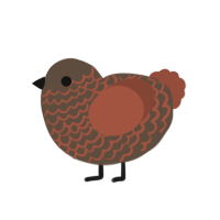 A bark and russet chicken with a lace pattern
