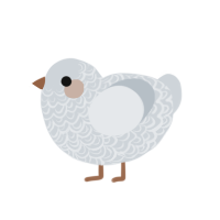 (unnamed), a mist chicken with a double-lace pattern