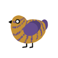 A gold and overcast chicken with a bar pattern
