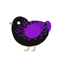 A black and violet chicken with a half-lace pattern
