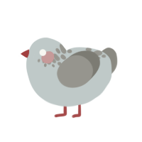 A silver and ash chicken with a neck-speckle pattern