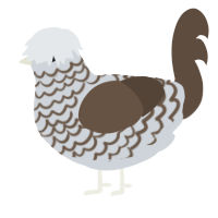 A mist and bark chicken with a lace pattern