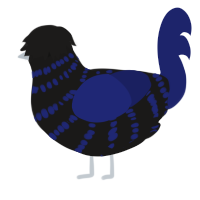 (unnamed), a sable and navy chicken with a bar pattern