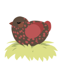 A bark and red chicken with a speckle pattern
