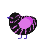 A black and orchid chicken with a bar pattern