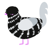 (unnamed), a black and mist chicken with a bar pattern