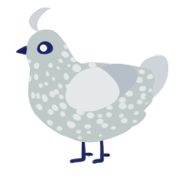 The ChoirMaster, a silver and mist chicken with a speckle pattern