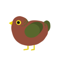 A russet and olive chicken with a neck-band pattern