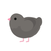 A grey chicken with a head pattern