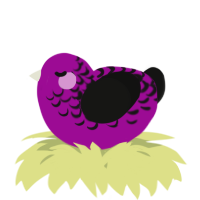 A plum and black chicken with a half-lace pattern