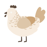 A cream and beige chicken with a half-lace pattern