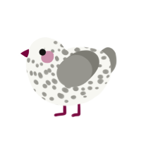 A white and ash chicken with a speckle pattern