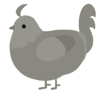 A ash chicken with a head pattern